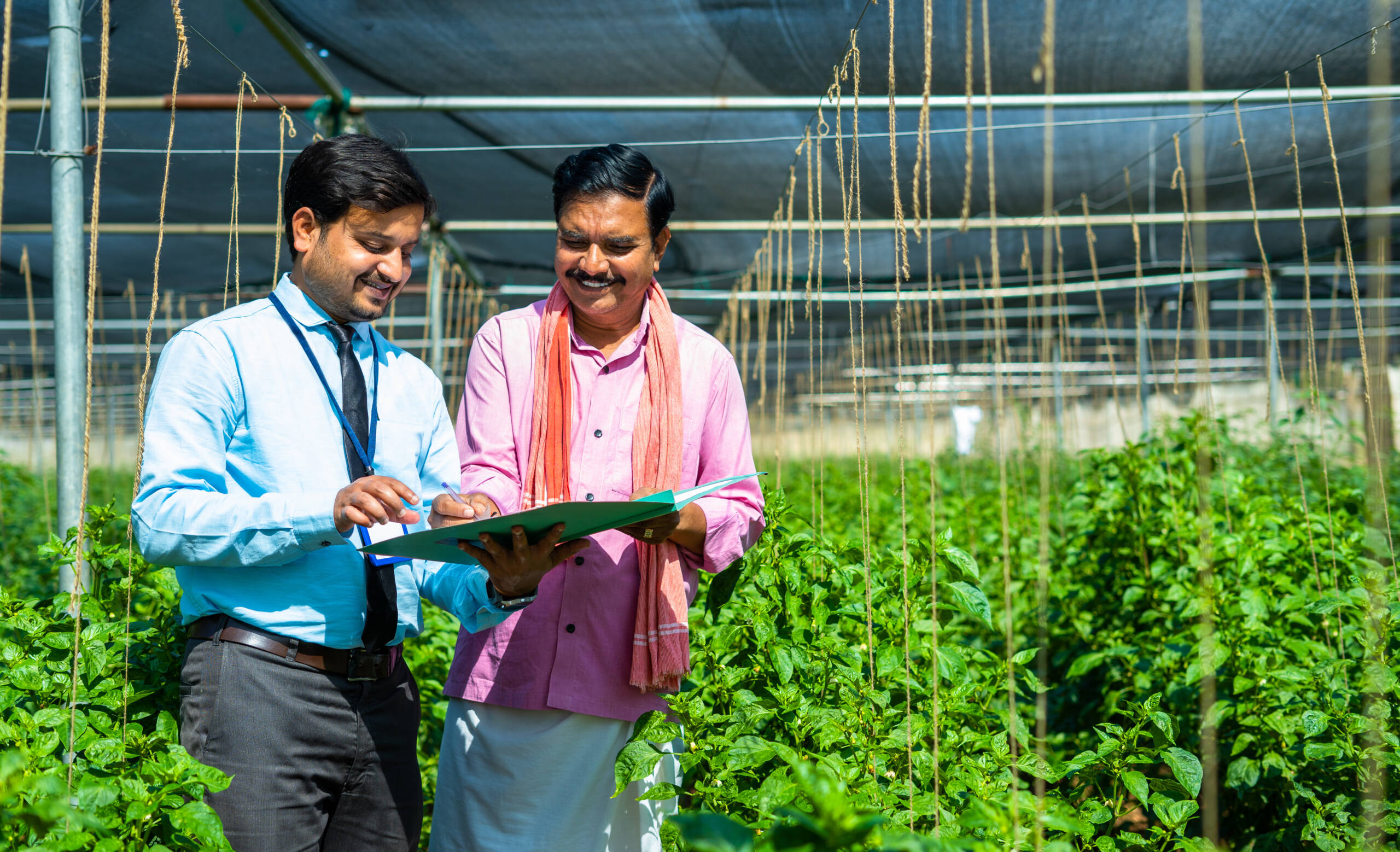 We offer complete assistance for government agricultural subsidies, along with expert consultancy to help farmers adopt advanced and profitable farming methods.